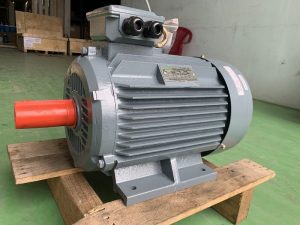 động cơ điện 1