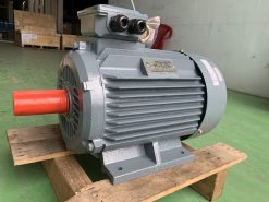 Motor điện 3