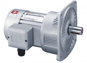 motor giảm tốc taiwan 1